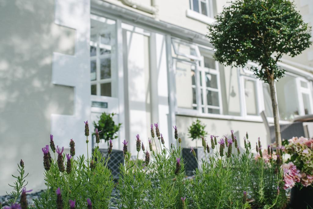 Apple Tree Bed And Breakfast Tavistock  Exterior photo